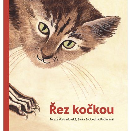 rez kockou 2 obalka