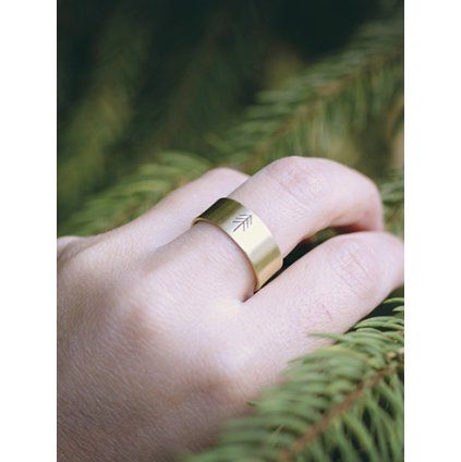 pine ring 1
