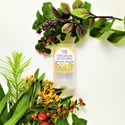 Citronová meduňka 15 g 800px