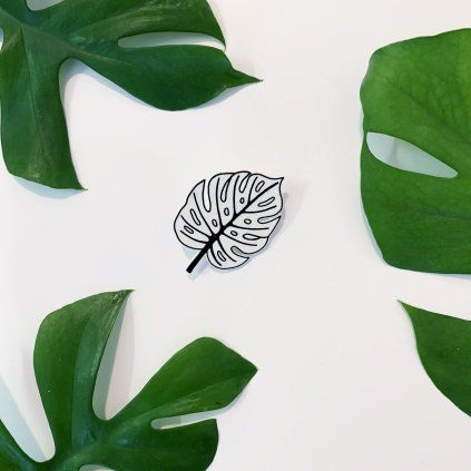 68b monstera list