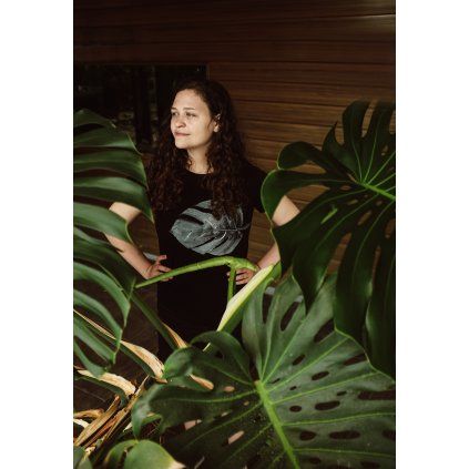 Monstera4