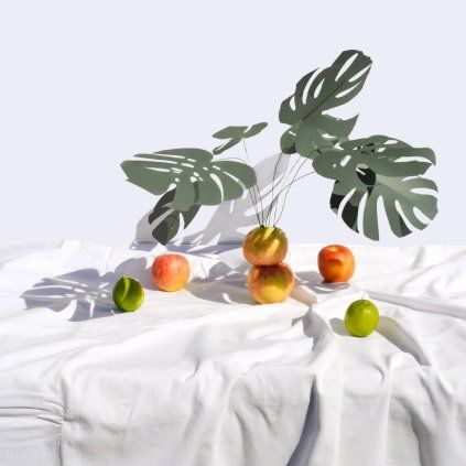 93 monstera 1 11zon