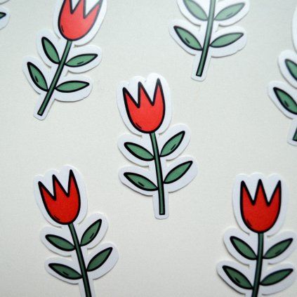 Tulipán (2)