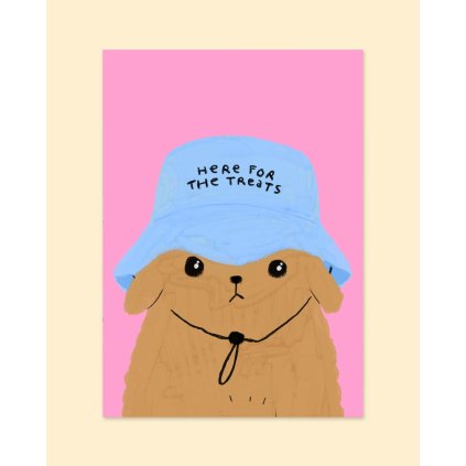 A4 treats