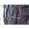 Náhrdelník Intimity Tree