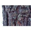 Brož Intimity Tree