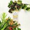 Citronová meduňka 15 g 800px