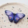 KoB308 motyl1