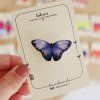 KoB308 motyl2