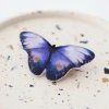KoB308 motyl