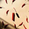 Lesk na rty Michala UL77 - Chilli