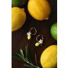 citron1