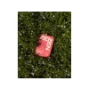 43 1 zenzen grass 01