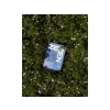 46 zenzen grass o2